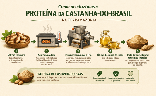 Como obtemos a proteína da castanha-do-brasil? Tecnologia, nutrição e sustentabilidade