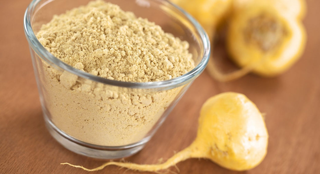 Maca peruana: energia e vitalidade que vêm da raiz