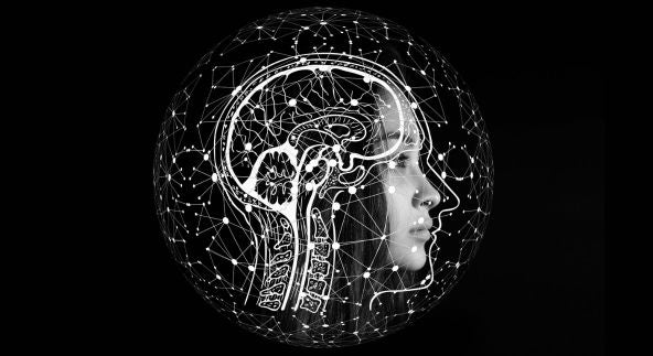 Fosfatidilserina: Saúde Cerebral e Desempenho Físico
