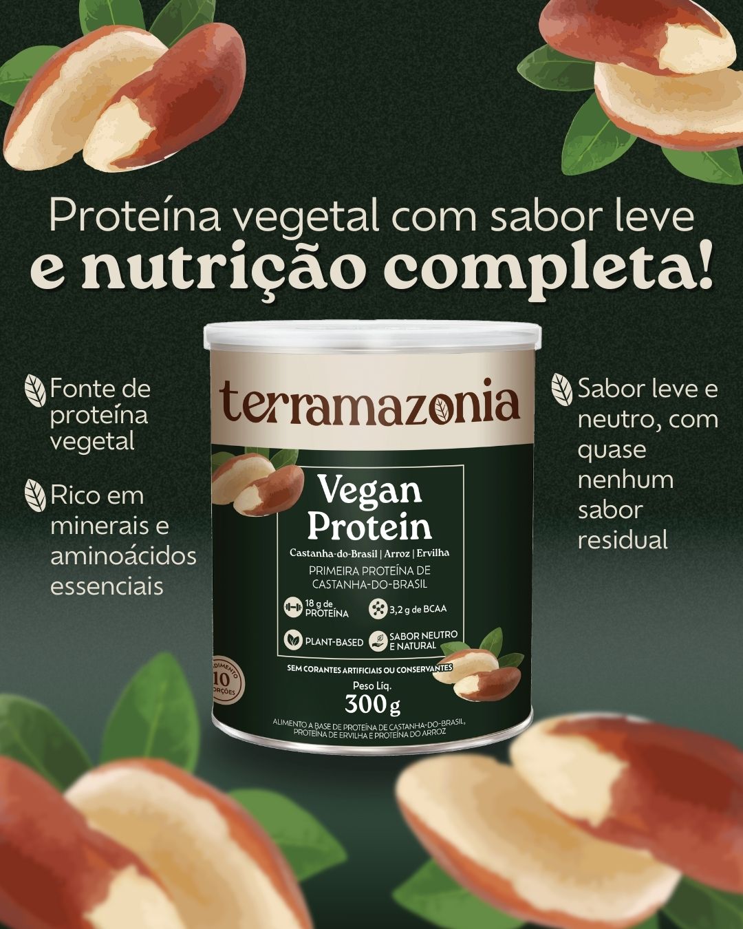 Vegan Protein 300g