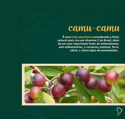 Combo Amazônia