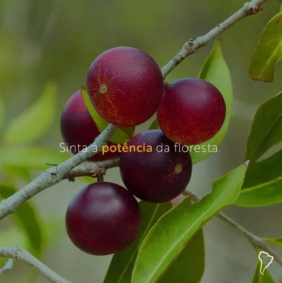 Camu Camu em Pó 200g