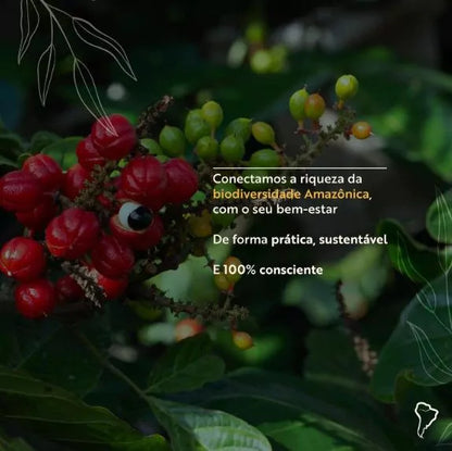 Combo Super Amazônia