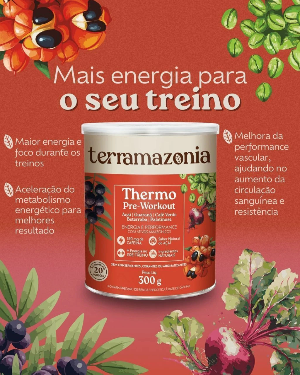 Combo Energia